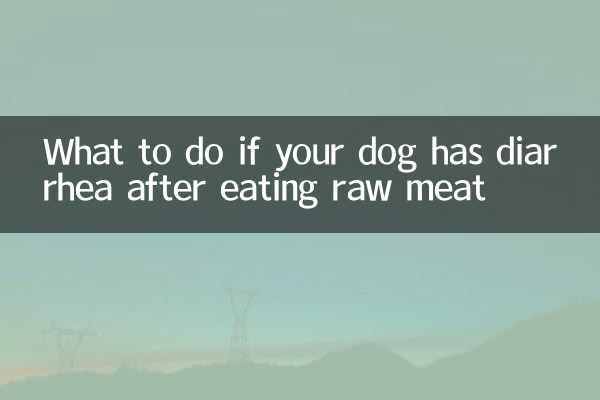 ماذا تفعل إذا أصيب كلبك بالإسهال بعد تناول اللحوم النيئة؟