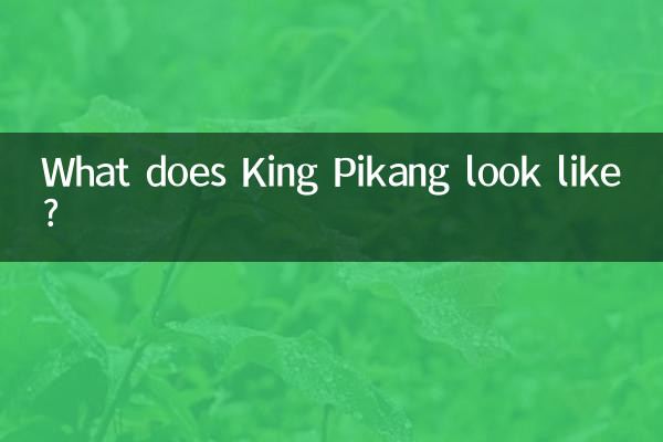 ¿Cómo es el rey Pikang?