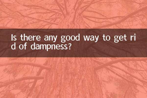 Gibt es eine gute Möglichkeit, Feuchtigkeit loszuwerden?
