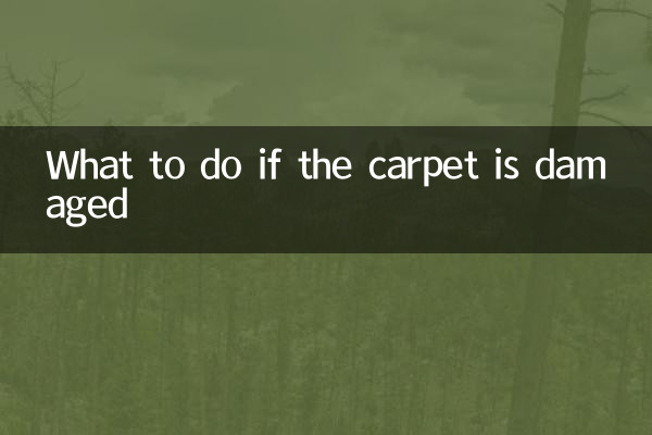 Cosa fare se il tappeto è danneggiato