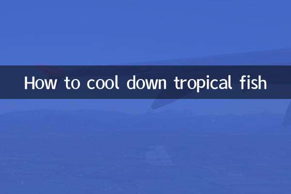열대어를 식히는 방법