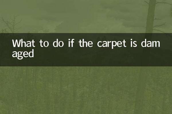 Cosa fare se il tappeto è danneggiato