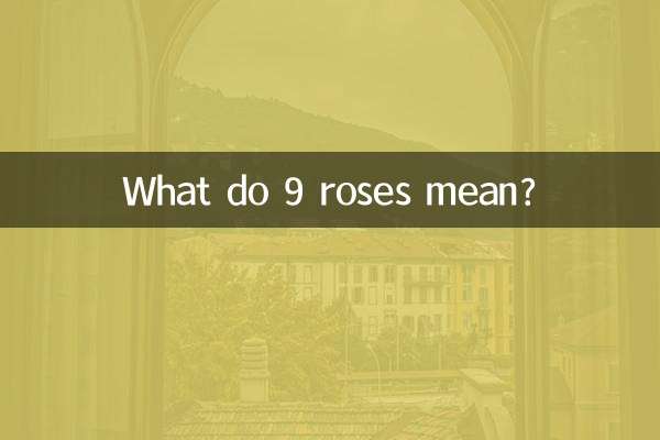 9 گل رز به چه معناست؟