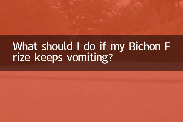 O que devo fazer se meu Bichon Frise continuar vomitando?