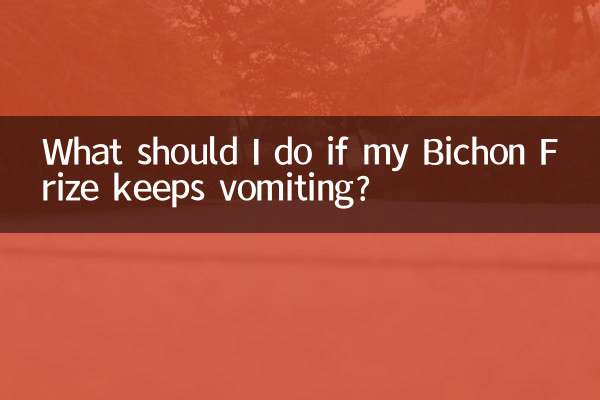 Bichon Frize가 계속 구토를 한다면 어떻게 해야 합니까?
