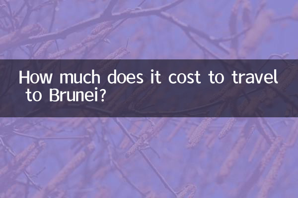 ¿Cuánto cuesta viajar a Brunéi?