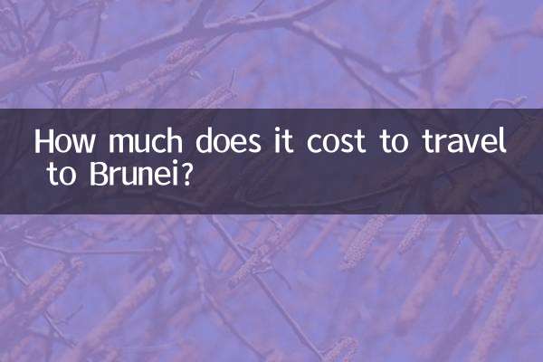 برونائی کا سفر کرنے میں کتنا خرچ آتا ہے؟