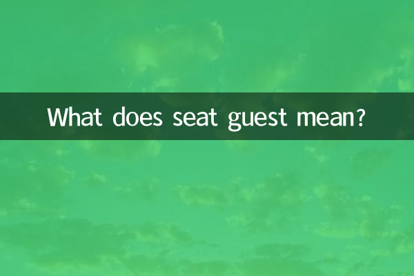 সিট গেস্ট মানে কি?