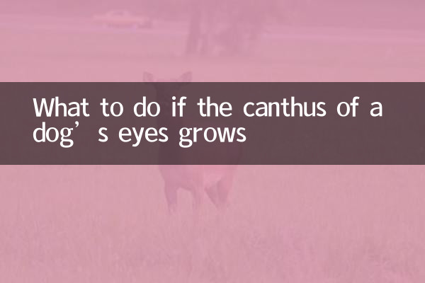 اگر کانتوس چشم سگ رشد کند چه باید کرد؟