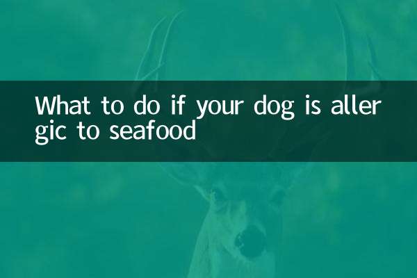 Qué hacer si tu perro es alérgico al marisco