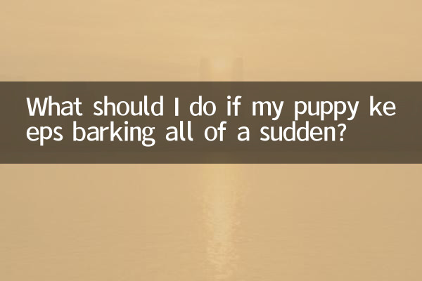 Что делать, если щенок вдруг начал лаять?
