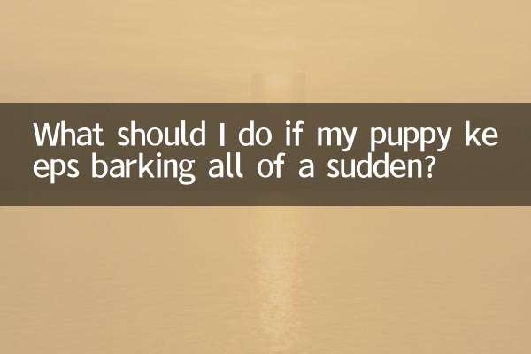 Что делать, если щенок вдруг начал лаять?