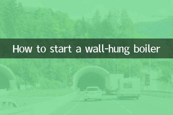 Как запустить настенный котел