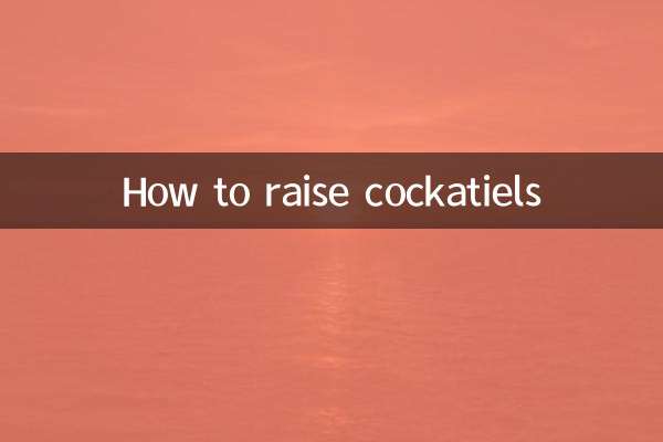 How to raise cockatiels
