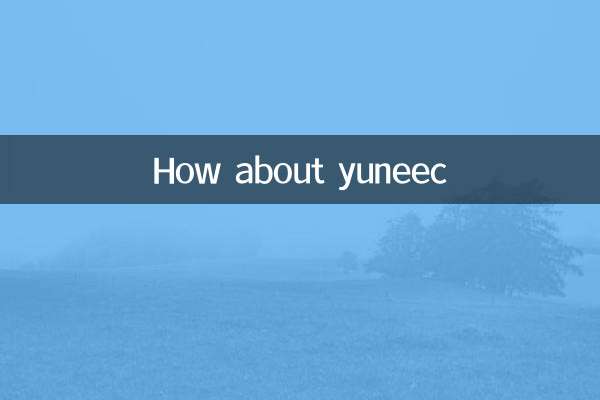 Che ne dici di Yuneec