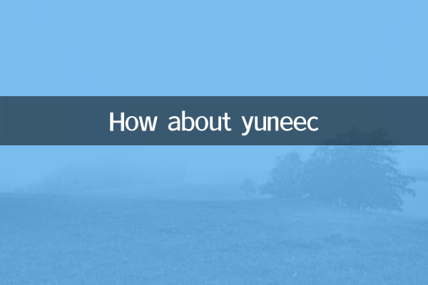 Che ne dici di Yuneec