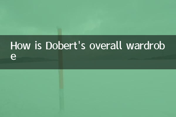 ¿Cómo es el guardarropa general de Dobert?