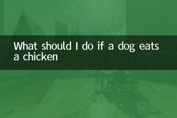 Was soll ich tun, wenn ein Hund ein Huhn isst?