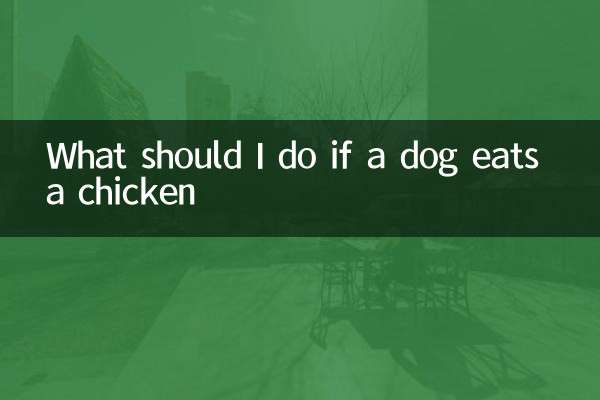 Was soll ich tun, wenn ein Hund ein Huhn isst?