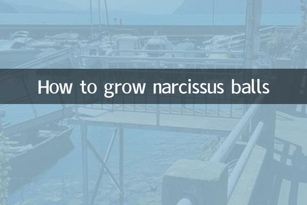 Come coltivare le palline di narciso