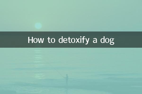 How to detoxify a dog