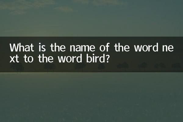 ¿Cuál es el nombre de la palabra al lado de la palabra pájaro?