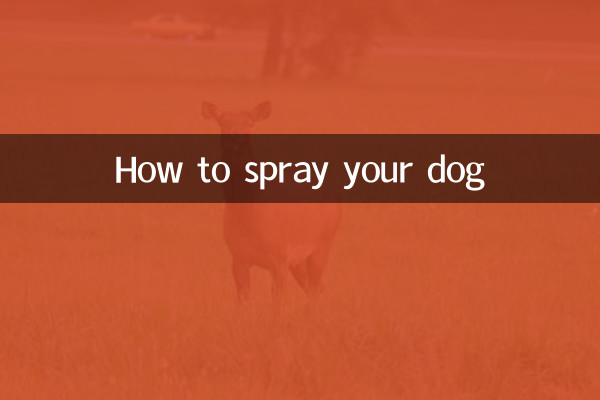 Comment vaporiser votre chien