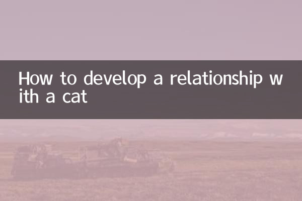 Come sviluppare una relazione con un gatto