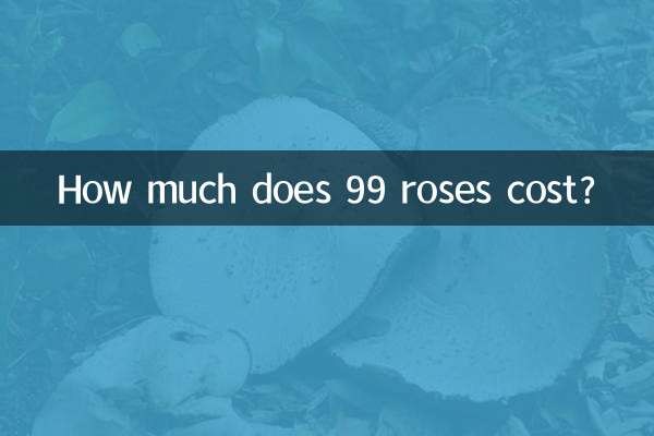 ¿Cuánto cuestan 99 rosas?