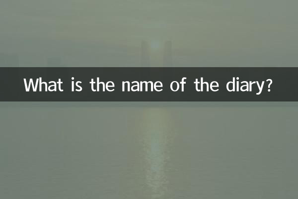 ডায়েরির নাম কী?