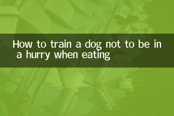 Как приучить собаку не торопиться во время еды