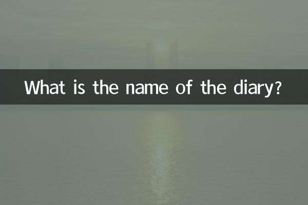 ডায়েরির নাম কী?