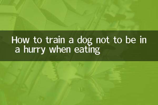Cómo entrenar a un perro para que no tenga prisa a la hora de comer