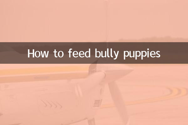 বুলি কুকুরছানাকে কীভাবে খাওয়াবেন