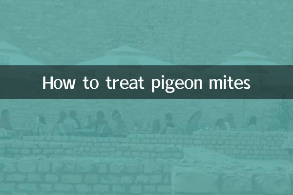 كيفية علاج عث الحمام