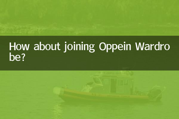 Que diriez-vous de rejoindre OPPEIN Armoire ?