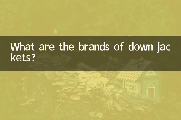 ¿Cuáles son las marcas de chaquetas de plumas?