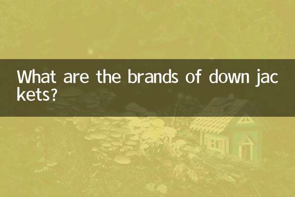 مارک های کت های پایین چیست؟