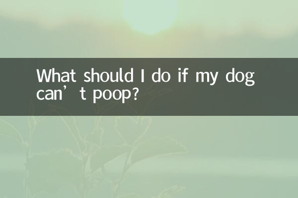 यदि मेरा कुत्ता शौच नहीं कर सकता तो मुझे क्या करना चाहिए?