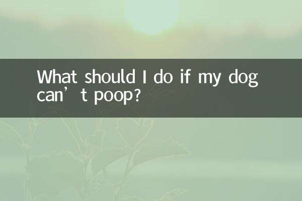 اگر سگم نتواند مدفوع کند چه کنم؟