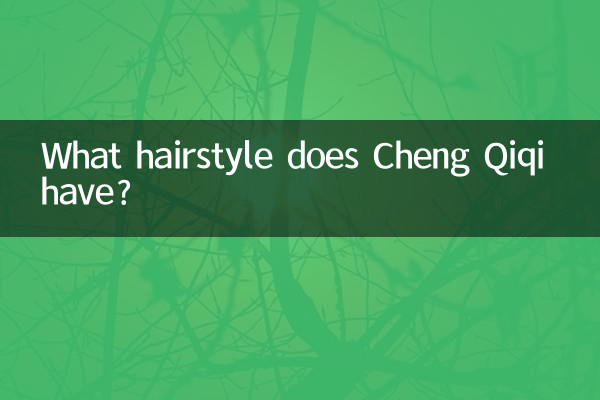 Cheng Qiqi는 어떤 헤어스타일을 가지고 있나요?