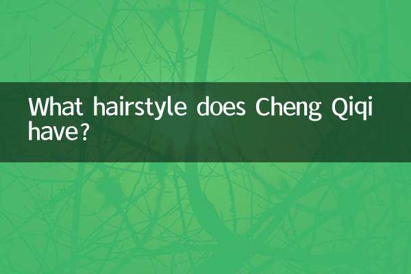 Cheng Qiqi는 어떤 헤어스타일을 가지고 있나요?