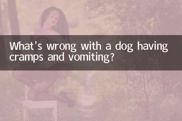 कुत्ते को ऐंठन और उल्टी होने में क्या समस्या है?