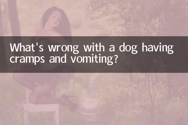 कुत्ते को ऐंठन और उल्टी होने में क्या समस्या है?