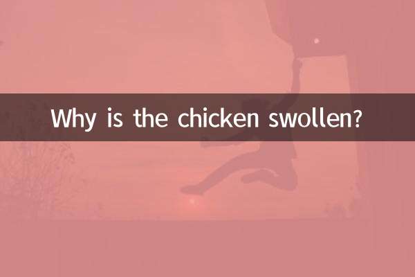 मुर्गी क्यों सूजी हुई है?