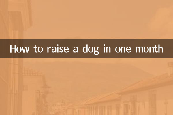Как вырастить собаку за месяц
