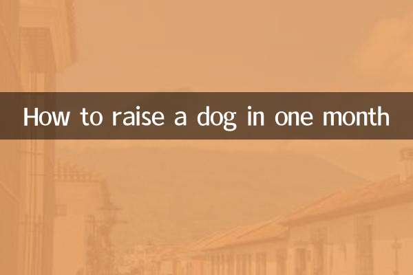 Wie man in einem Monat einen Hund großzieht