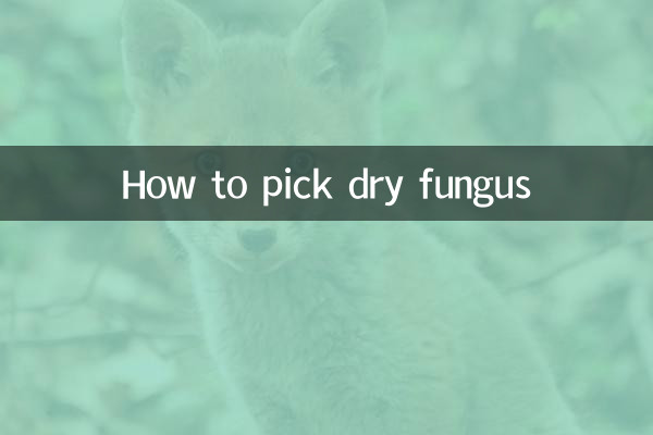 Come raccogliere i funghi secchi