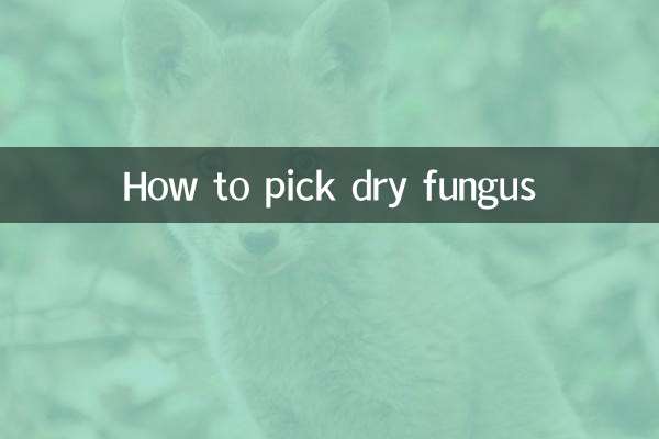 Come raccogliere i funghi secchi