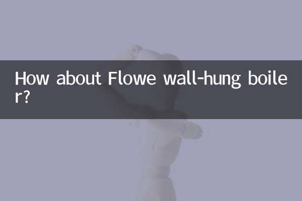 ফ্লো ওয়াল-হ্যাং বয়লার সম্পর্কে কেমন?